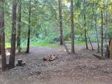  Skyview Ridge Road - Photo 56