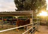 16761 Artesian Breeze Way - Photo 8