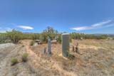 51225 Nectar Road - Photo 4