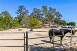 32360 Navajo Springs - Photo 16