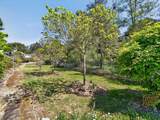 67 Branciforte Avenue - Photo 57
