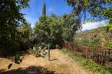 281 Spinks Canyon - Photo 36