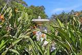 18211 Saratoga Los Gatos Road - Photo 40