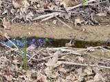 0 Mt Olympus Valley Road - Photo 26