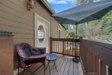 27312 Little Bear - Photo 12