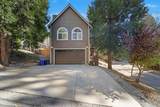 27312 Little Bear - Photo 4