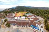 27312 Little Bear - Photo 45