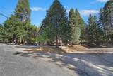 27312 Little Bear - Photo 5