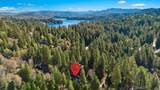27312 Little Bear - Photo 7