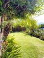 255 Isabel Street - Photo 14