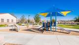 24202 Arroyo Spring - Photo 39