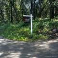 19730 Black Road - Photo 16