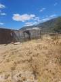 44545 Bonny - Photo 19