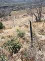 44545 Bonny - Photo 24