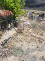 44545 Bonny - Photo 27
