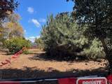 3328 Roosevelt Street - Photo 41