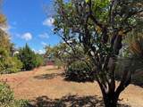 3328 Roosevelt Street - Photo 45
