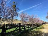 3470 Ranchita Cyn Rd - Photo 18