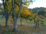 3470 Ranchita Cyn Rd - Photo 38