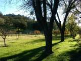 3470 Ranchita Cyn Rd - Photo 39