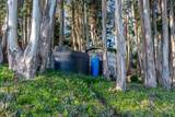 2570 Purisima Creek Road - Photo 74
