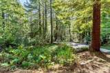 33100 Frog Pond Road - Photo 47