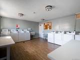 6550 Ponto Drive - Photo 10