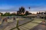 3890 Shadow Grove Road - Photo 50
