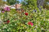 11656 Margate Street - Photo 27