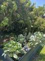1744 Calle Jules - Photo 38