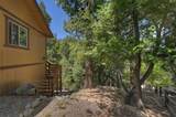 1056 Fiden Court - Photo 48