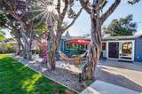 5303 Carrizo - Photo 38