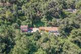 14773 Tamarix - Photo 1