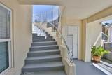 1121 Pinto - Photo 41