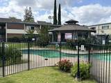 1731 Ellis Street - Photo 18