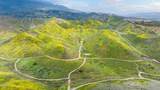 0 Dickenson Road - Photo 41
