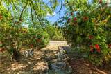 4530 San Ardo - Photo 33