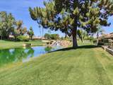 41715 Woodhaven Drive - Photo 19