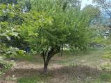 0 Deer Lick Lane - Photo 7