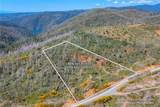 0 Pavlik Pines Road - Photo 3
