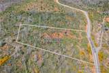 0 Pavlik Pines Road - Photo 7