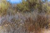 1 Gray Squirrel Road - Photo 31