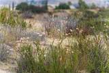 1 Gray Squirrel Road - Photo 34