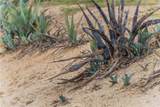 1 Gray Squirrel Road - Photo 37