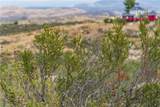 1 Gray Squirrel Road - Photo 49