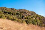 27 29 El Calamar Road - Photo 14