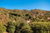 27 29 El Calamar Road - Photo 15