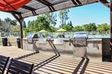 22342 Caminito Escobedo - Photo 43