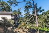 250 Forest Ridge Road - Photo 24