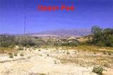 0 Roadrunner - Photo 11